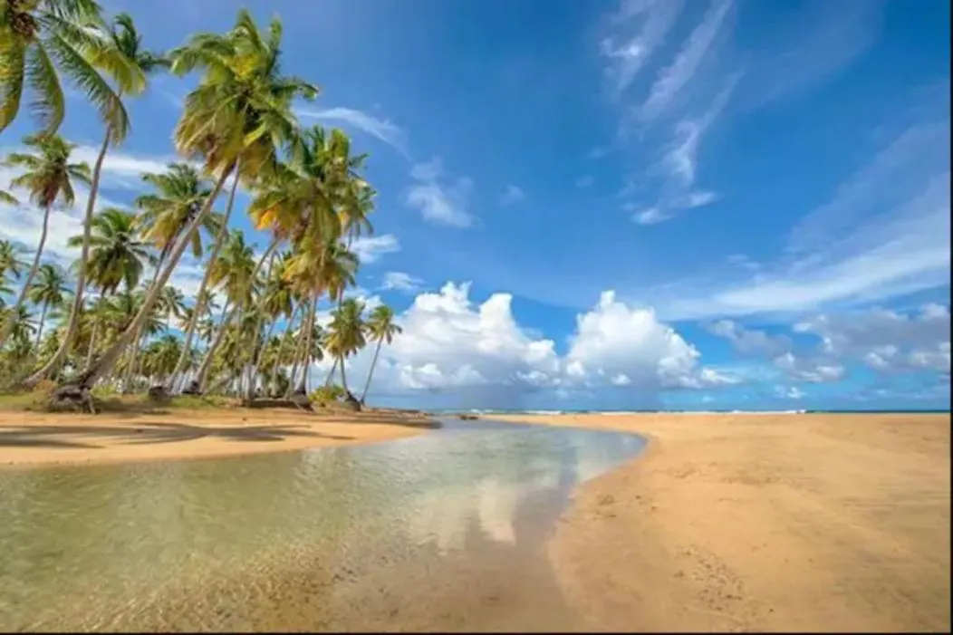 Villa Calma, Luxury For Big Groups At The Beach With Large Pool Las Terrenas Dominican Republic